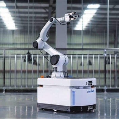 Pick and Place Robot Hans E18 con CNGBS Robotic Gripper e 6 Assi Robotic Arm come Robot Cobot