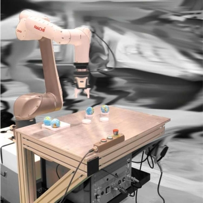 Cobot Robot Arm 6 Axis CZ10-01 con CNGBS Robotic Gripper per la raccolta come robot collaborativo