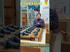 Emerson Fisher 67DFR Regulatore di filtri