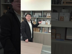 Posizionatore astuto pneumatico della valvola di regolazione