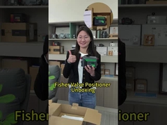 Che ne pensi del posizionatore di valvole Fisher?