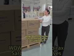 Che ne pensa di Spirax Sarco tra le marche delle valvole?