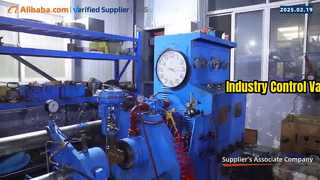 Fornitore globale di posizionatori di valvole e componenti per l'automazione industriale