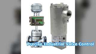 Valvola di controllo preciso del fluido 10 V HART